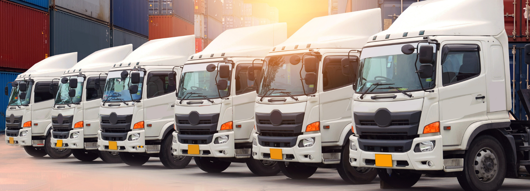 Fleet Insurance